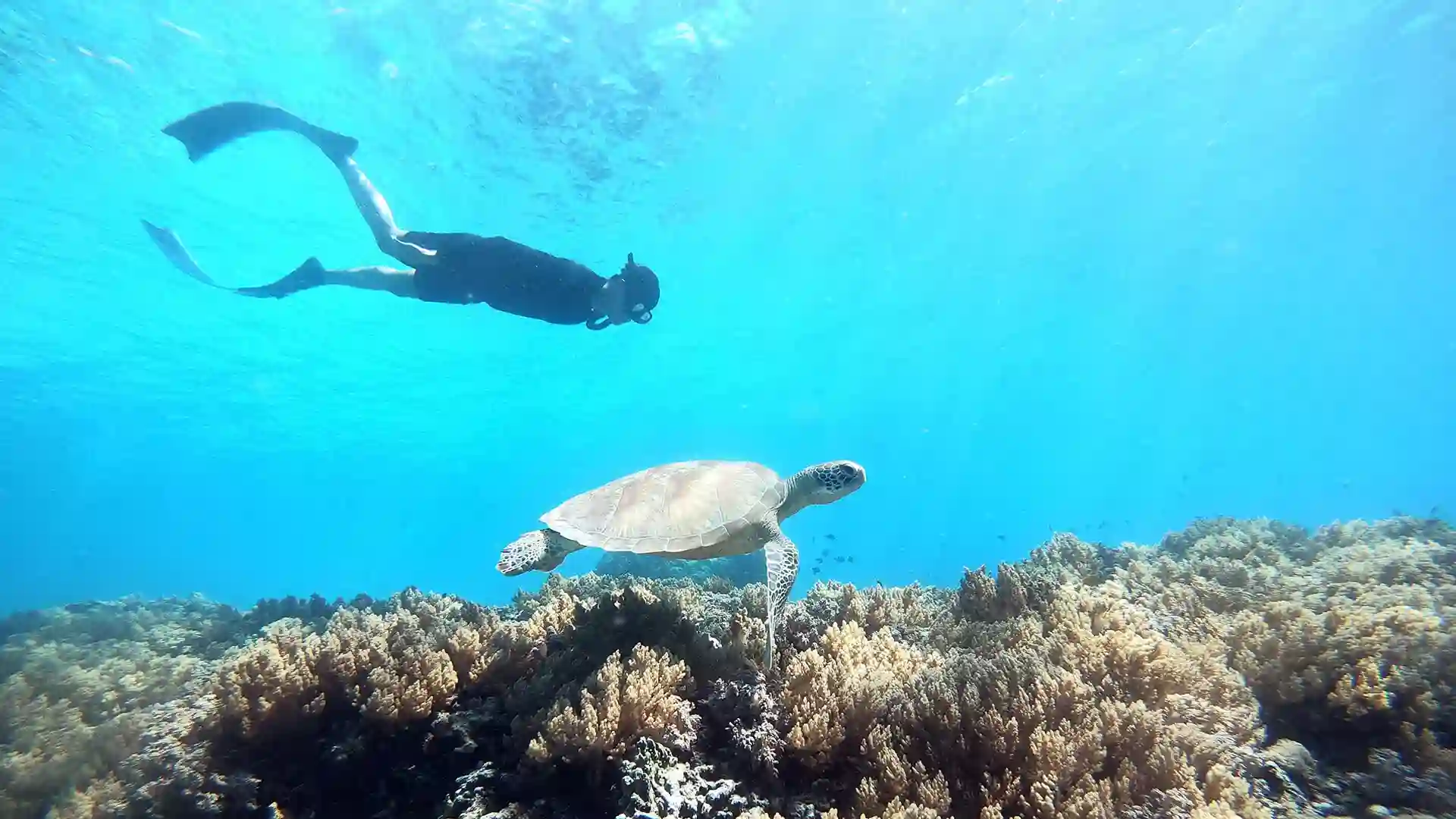 Blog post thumbnail 1